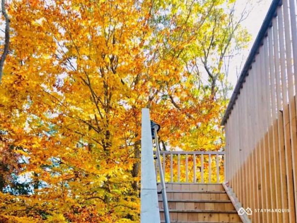 Hamptons Home 1020740
