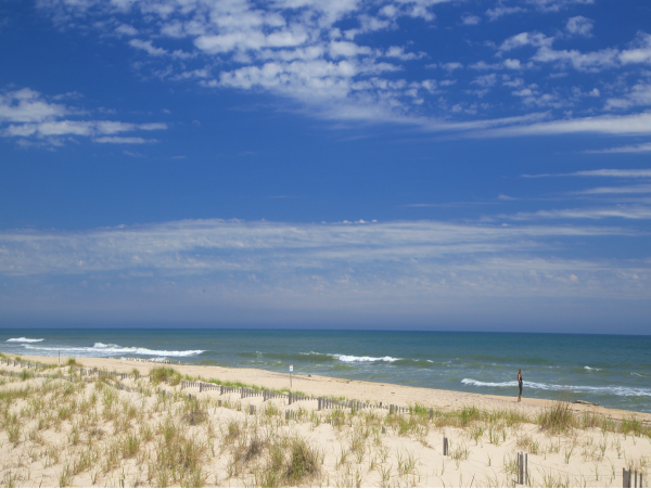 Luxurious  Hamptons Vacation Rental with 4 Bedrooms & Pool