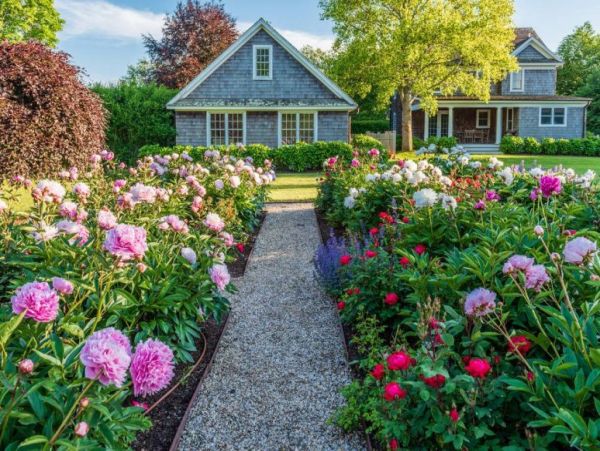 Hamptons Home 1020773
