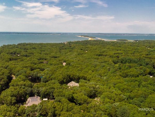 Hamptons Home 1020776