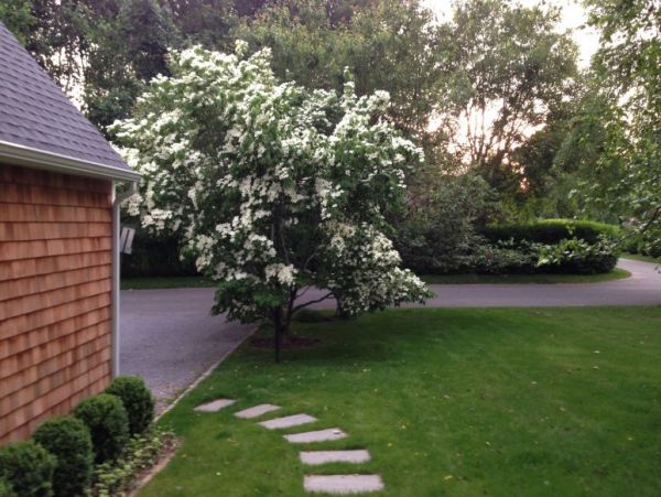 Hamptons Home 1020792