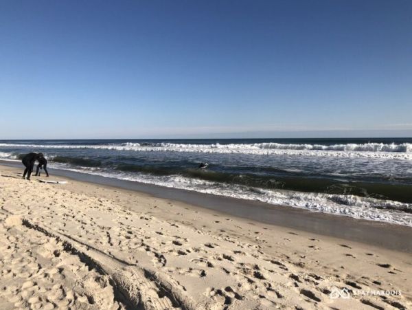 Hamptons Home 1020828