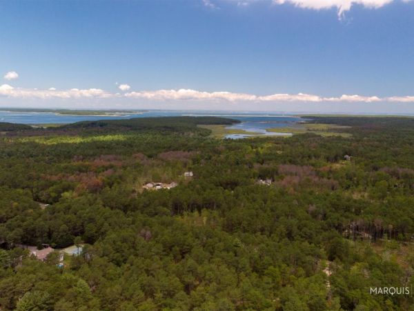 Hamptons Home 1020856