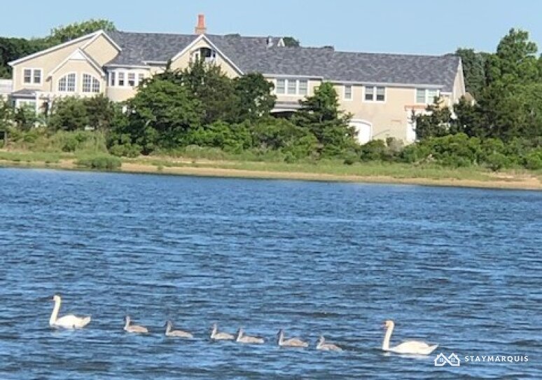 Hamptons Home 1020884