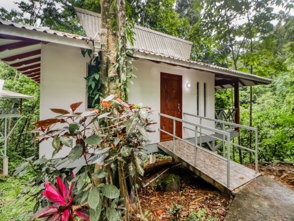 Jaco Home 1020929