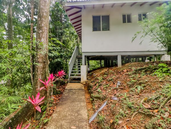 Jaco Condo 1020930