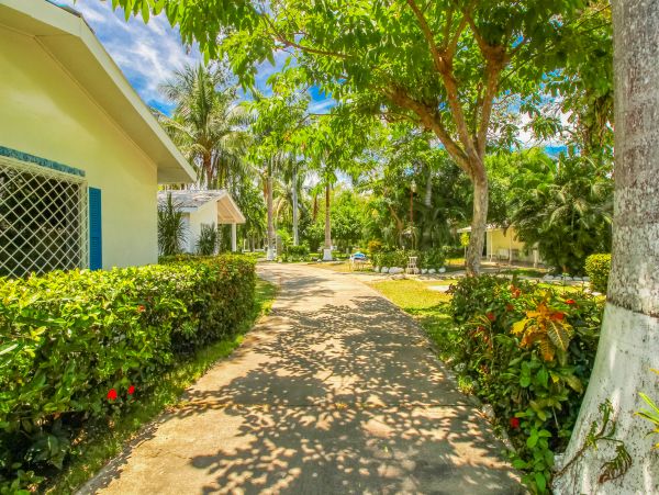 Jaco Home 1020950