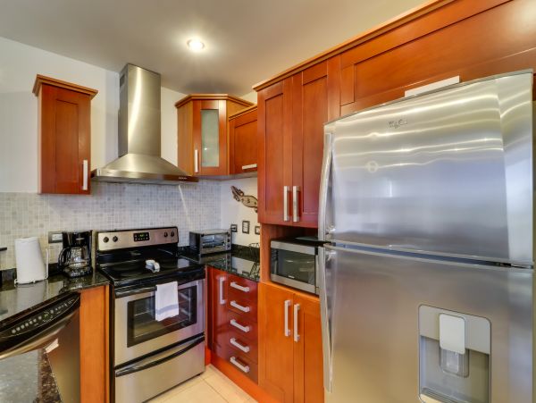 Tamarindo Home 1020968