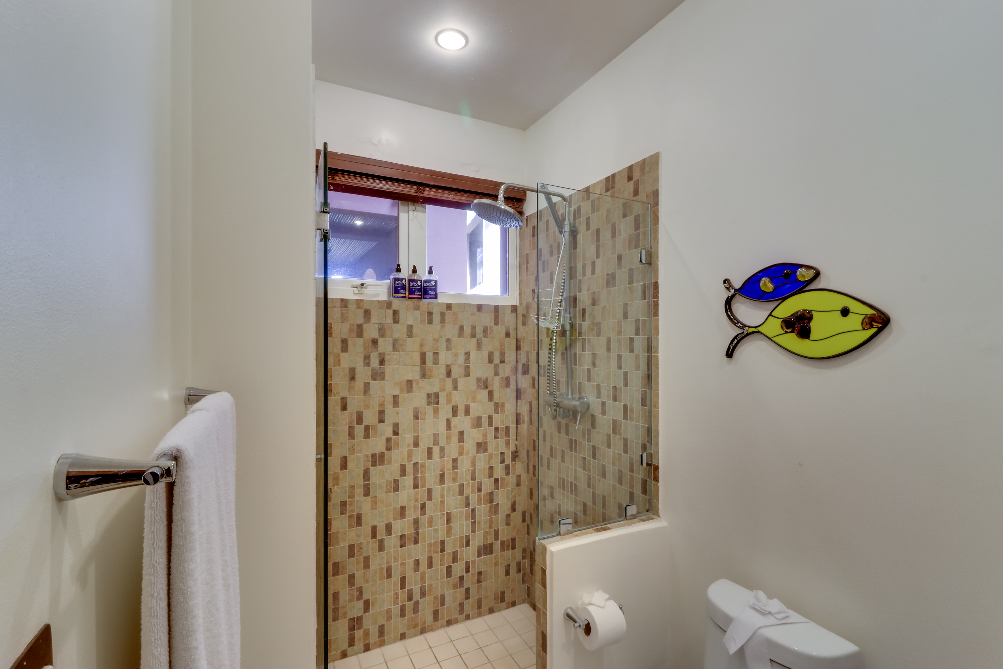 Tamarindo Home 1020968