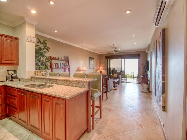 Playa Flamingo Condo 1020971