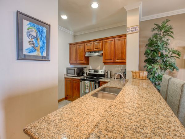 Playa Flamingo Condo 1020971