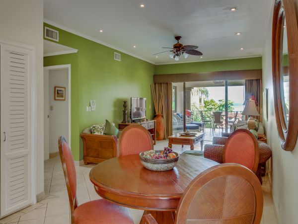 Tamarindo Home 1020972