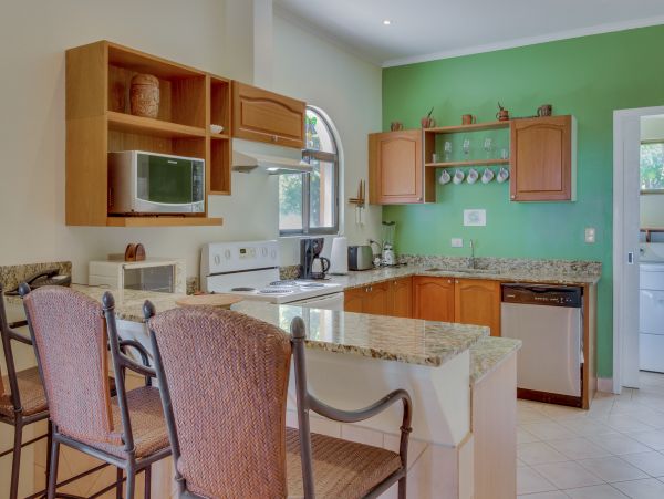 Tamarindo Home 1020972
