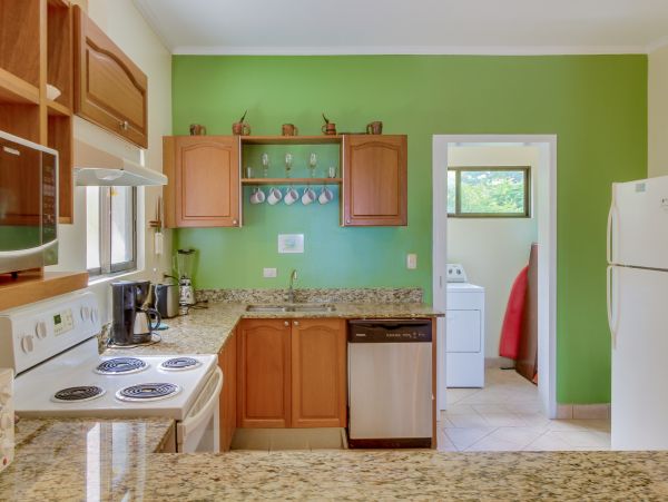 Tamarindo Home 1020972