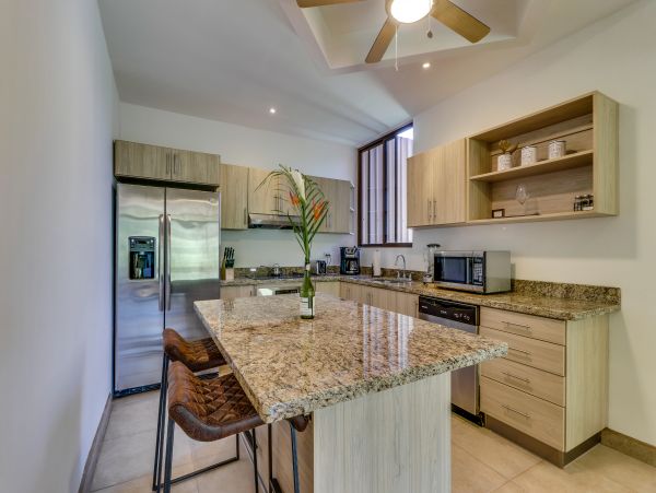Tamarindo Home 1020976