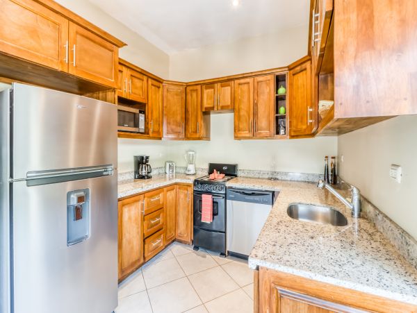 Tamarindo Home 1020979