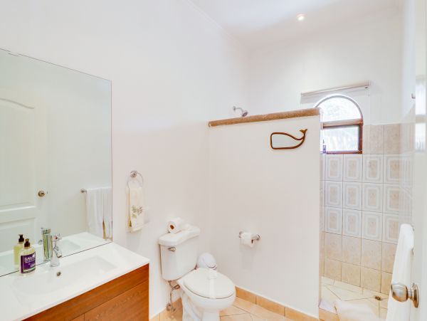 Tamarindo Home 1020980
