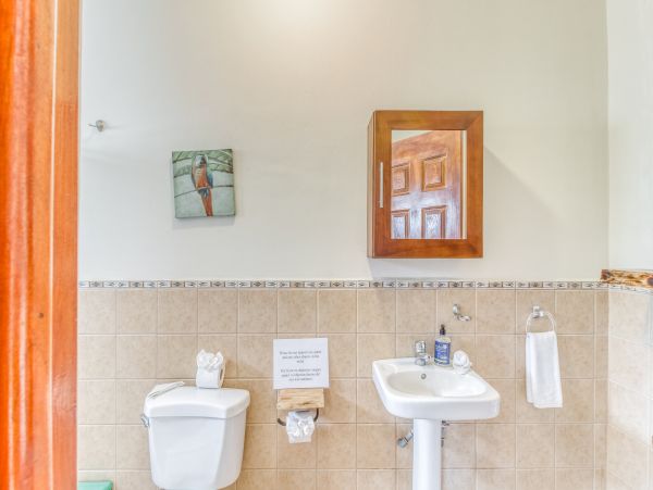 Tamarindo Home 1020981
