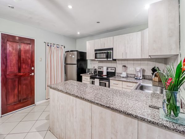 Tamarindo Home 1020982