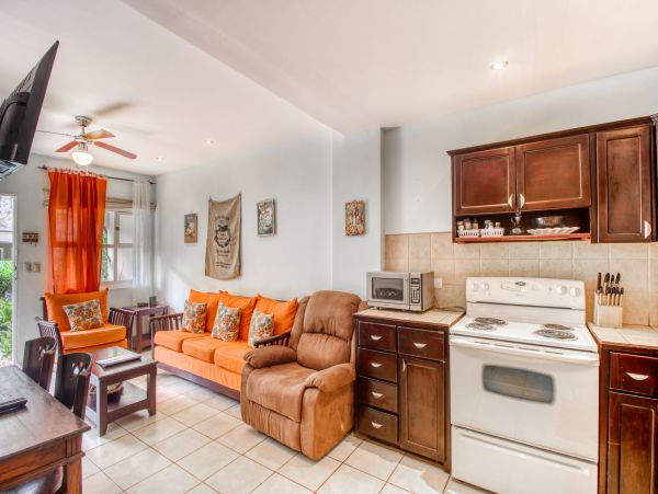 Tamarindo Home 1020985