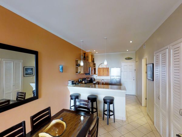 Tamarindo Home 1020986