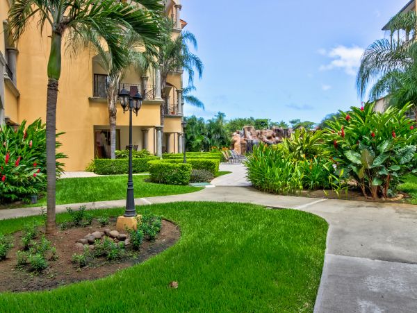 Tamarindo Home 1020986