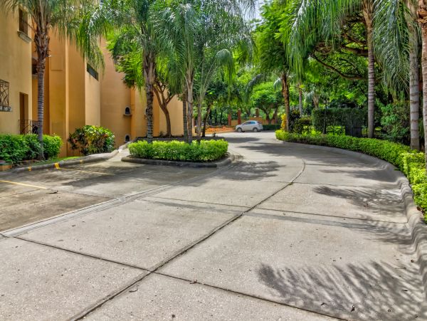 Tamarindo Home 1020986