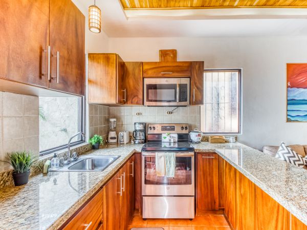 Tamarindo Home 1020989