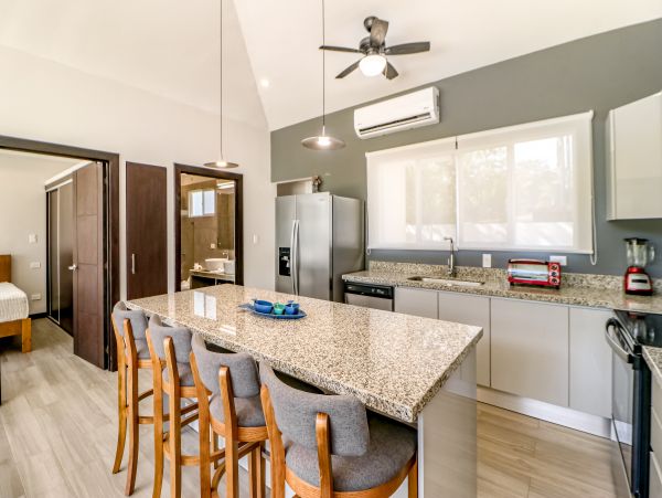 Tamarindo Home 1021039