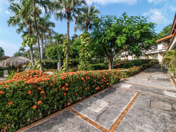 Playa Flamingo Home 1021041