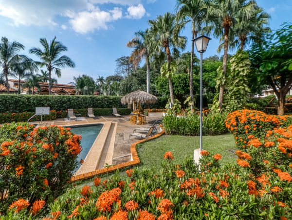 Playa Flamingo Home 1021041