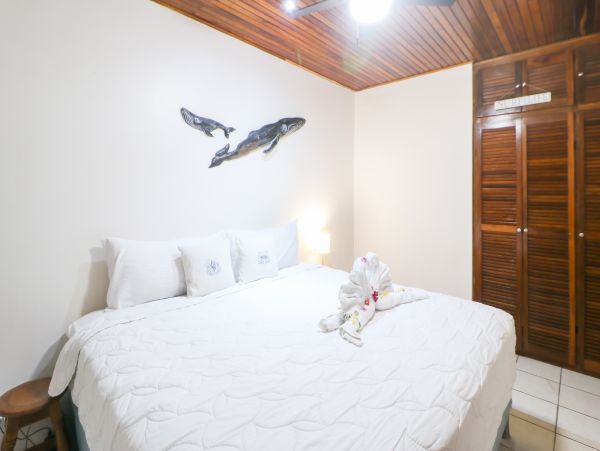 Playa Flamingo Home 1021075