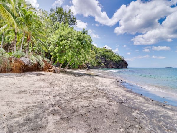 Playa Flamingo Home 1021075