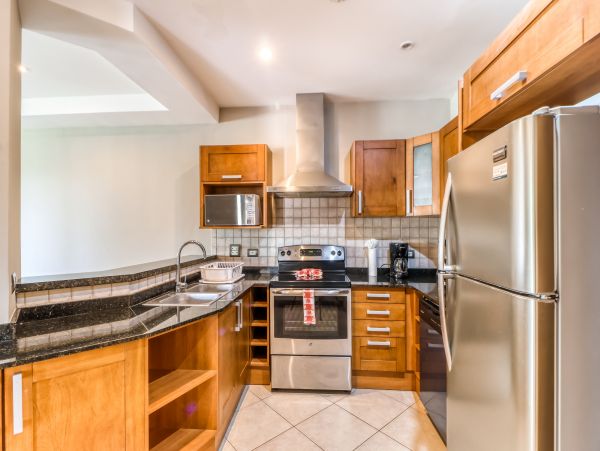 Tamarindo Home 1021087