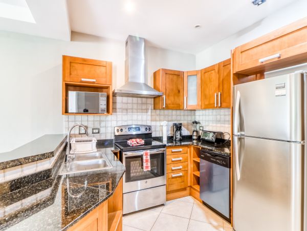 Tamarindo Home 1021087