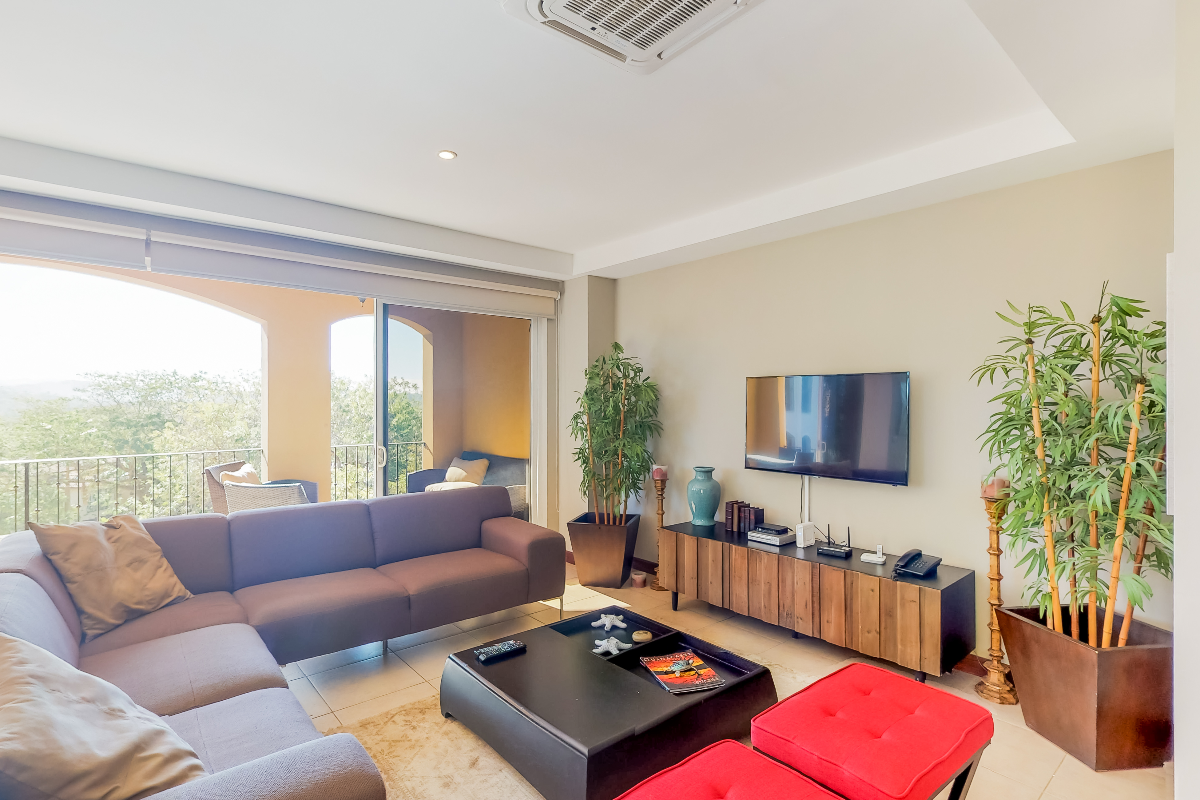 Tamarindo Home 1021094