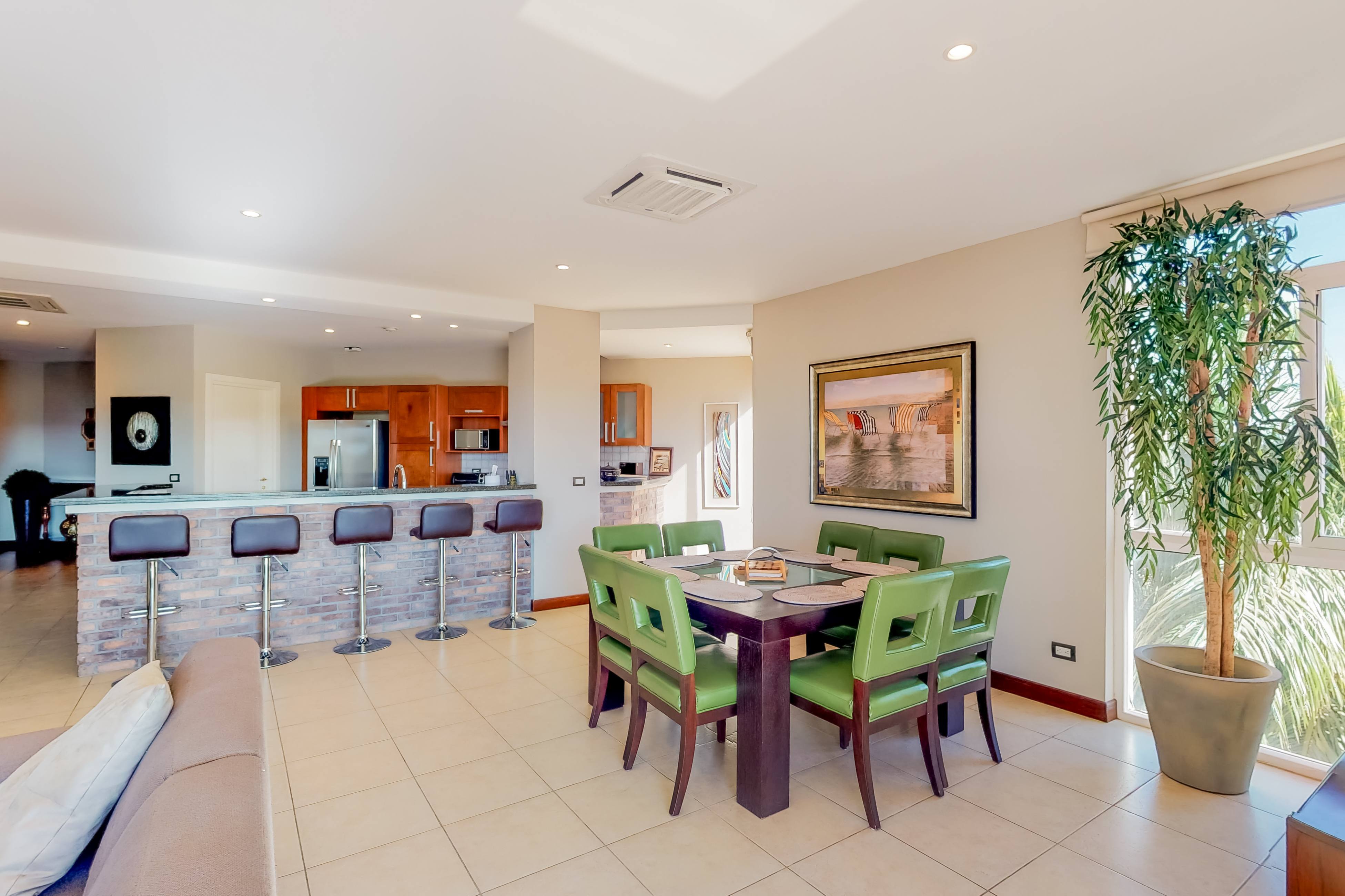 Tamarindo Home 1021094