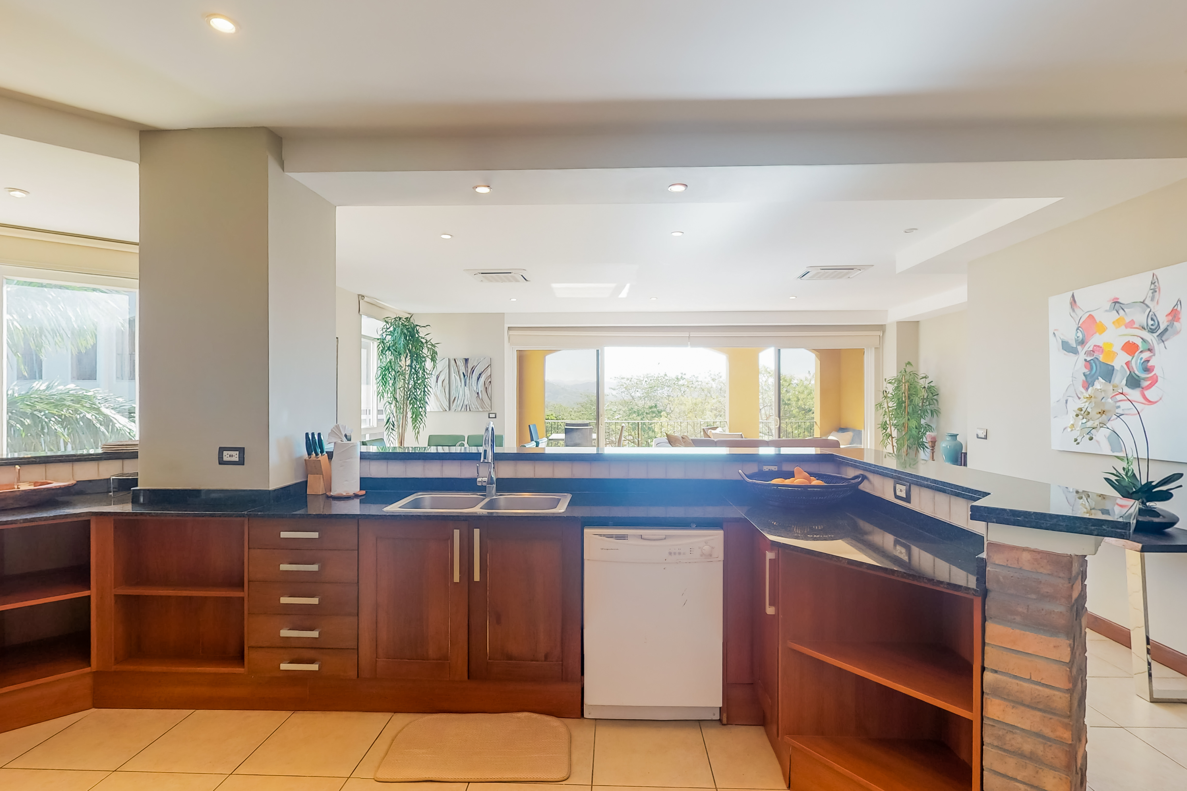 Tamarindo Home 1021094
