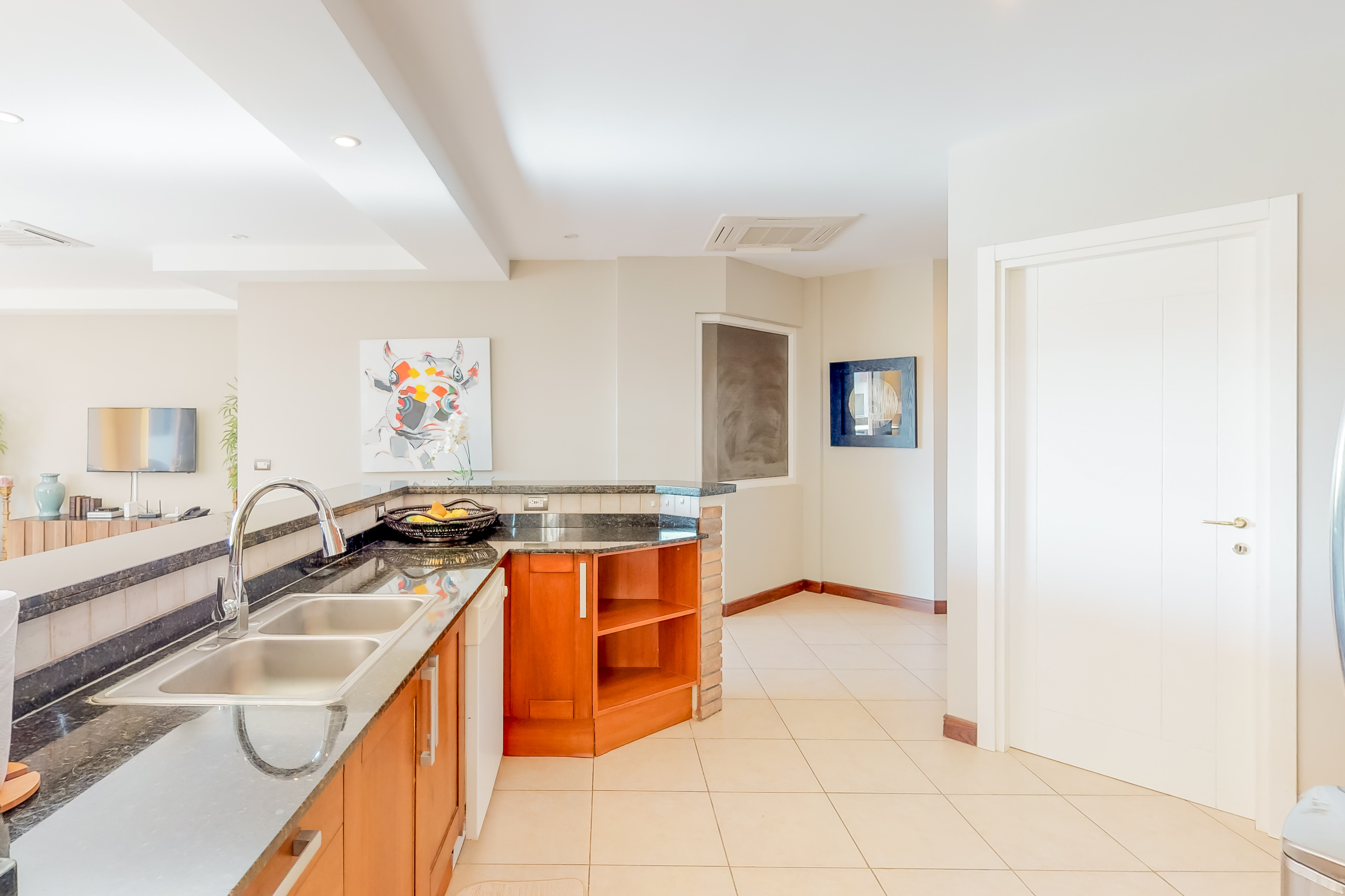 Tamarindo Home 1021094