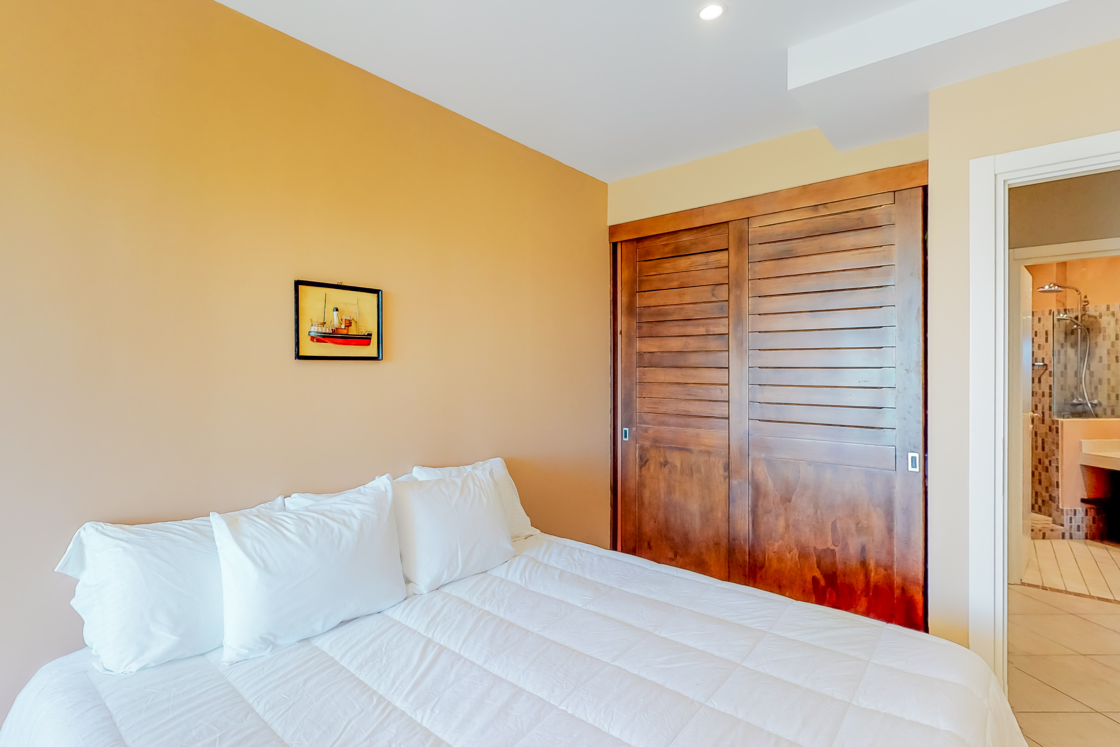 Tamarindo Home 1021094