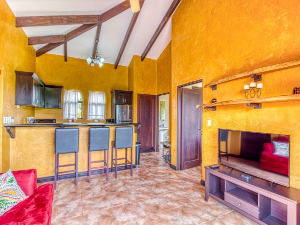 Tamarindo Home 1021107