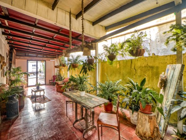 Tamarindo Home 1021117