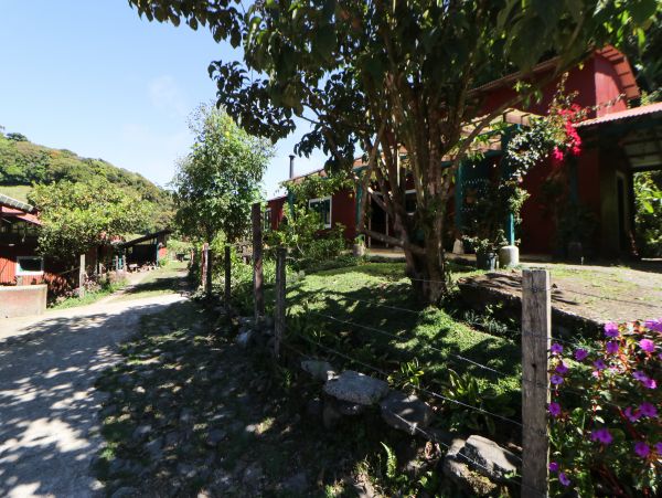 Jaco Home 1021154