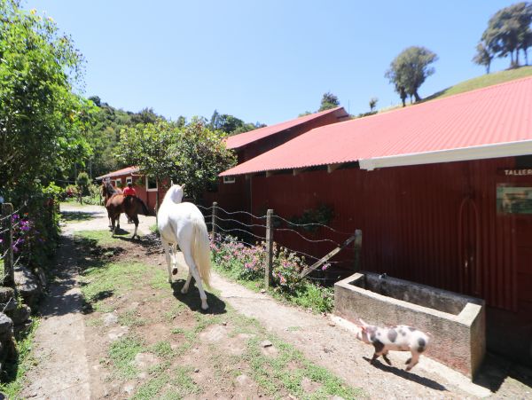 Jaco Home 1021154