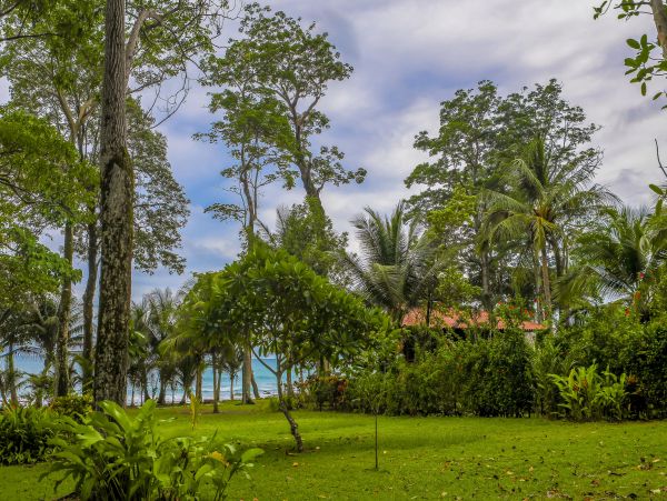 Jaco Home 1021174