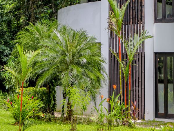 Jaco Home 1021178