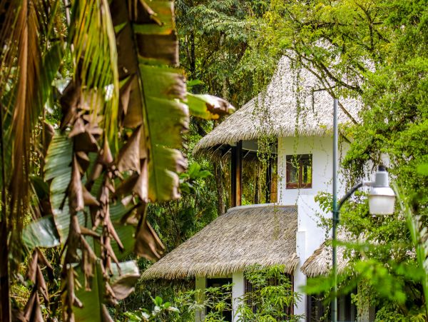 Jaco Home 1021178