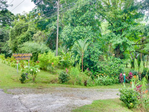 Jaco Home 1021201