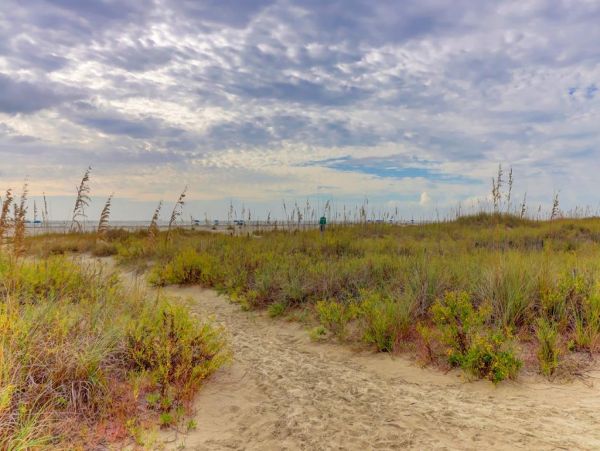 Isle Of Palms Condo 1021253
