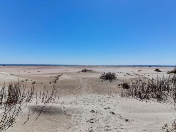 Isle Of Palms Condo 1021254